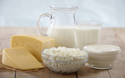 DairyProducts blog